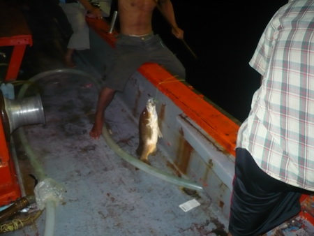 เบื่ออยู่ทะเลมาลงเรือดีกว่า :grin:
