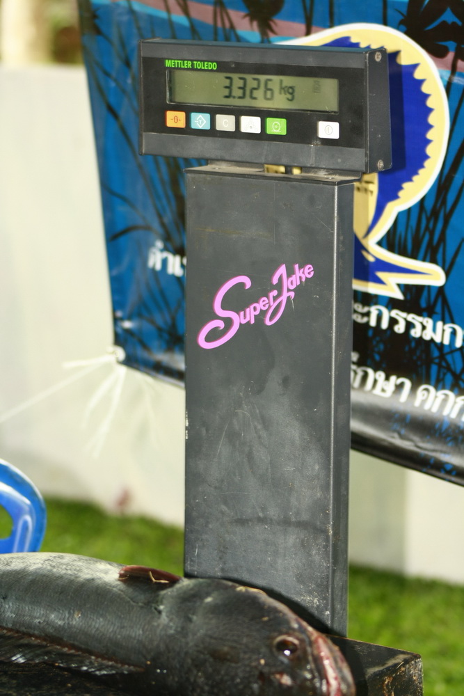 ไม่เบาครับ แต่ยังไม่ใหญ่พอ  :cheer: :cheer: :cheer: :cheer: