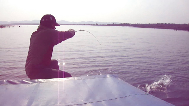ปลามันวิ่งซ้ายที ขวาที พร้อมพยามยามจะมุดเรือ 