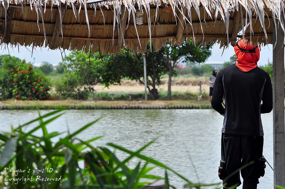 
หลบแดดตีในซุ้มก็มีครับ    :grin: :grin: :grin: