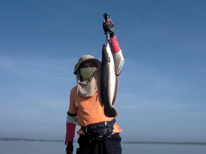 [q][i]อ้างถึง: fishingjoke posted: 18-05-2553, 21:04:42[/i]

+++ครับ :cheer: :cheer: :cheer: :chee