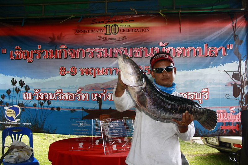  [q]++++++[/q]
ขอบคุณครับ น้า jackynoi    :cheer:



 [q]++ครับน้าไก่....จะเอาจริงแล้วจ้า...  ช