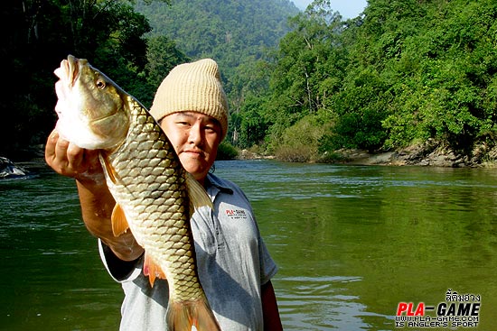 .คนเรือสามสี่คนถือขวดเหล้ายาแก้หนาวเดินลงเรือ สตาร์ทเครื่องดังกระหึ่มไหลตามกระสน้ำลงไปแก่งล่าง 
ปล่