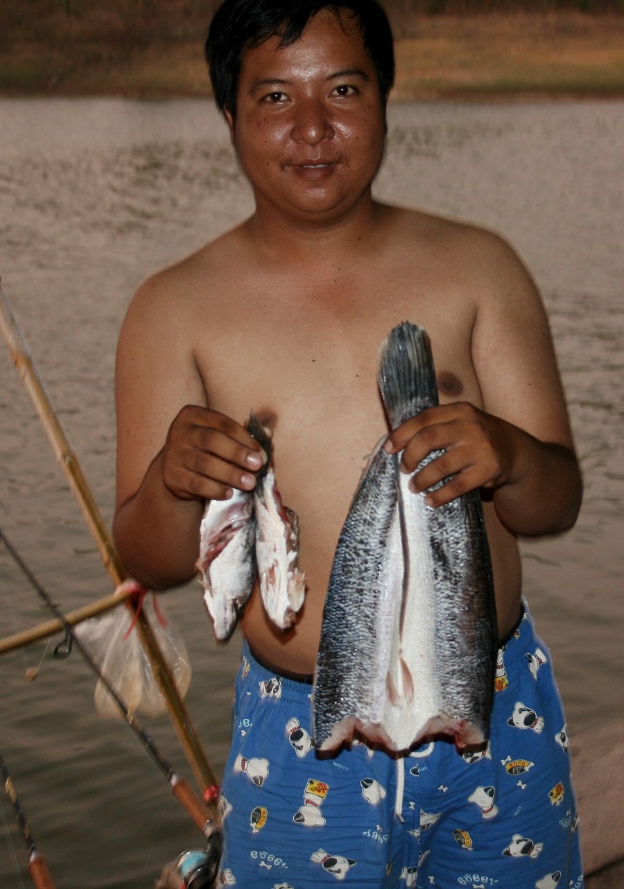 ปลาชะโด