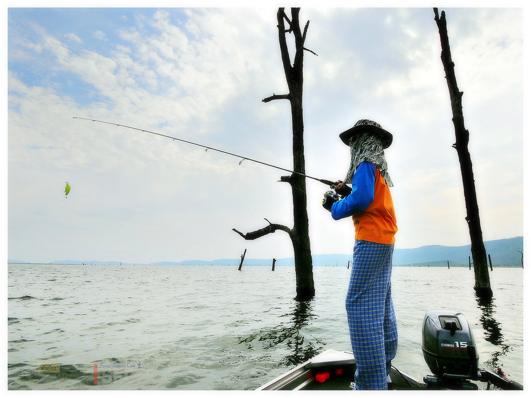 ส่วนทางด้านเทพเอ๊กซ์วันนี้ยังไม่เ