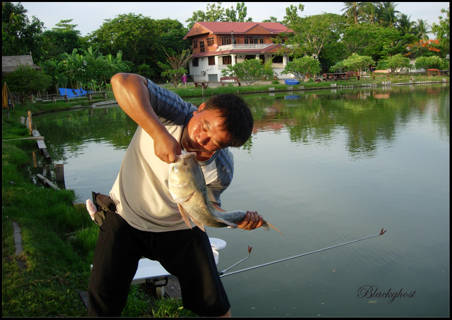 





ดูท่าจะเมามันกับปลา ไปแล้ว ( เมากลิ่นปลาซ่ง )  ฉายาจุมพิศเจ้าตัวเหม็น   ตัวที่ 9  :laugh