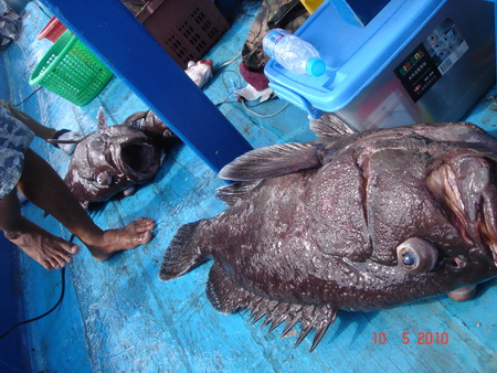ได้ขึ้นมาก็คิดอยู่ในใจ  จะเอากลับบ้านยังไงเนี่ย :kiss: