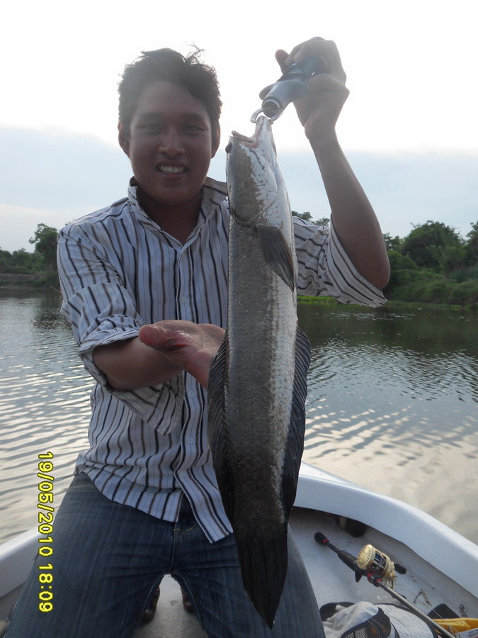 เเละนี่ก้อคือปลาตัวสุดท้ายของทริบนี้ครับ :cheer: :cheer:
------------------------------------------