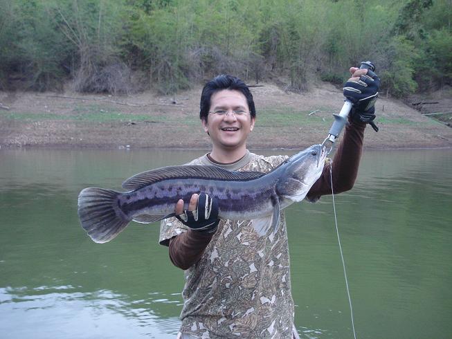 ขนาดกำลังพอดีครับ 3 โล เหน่งๆ :grin: :cool: