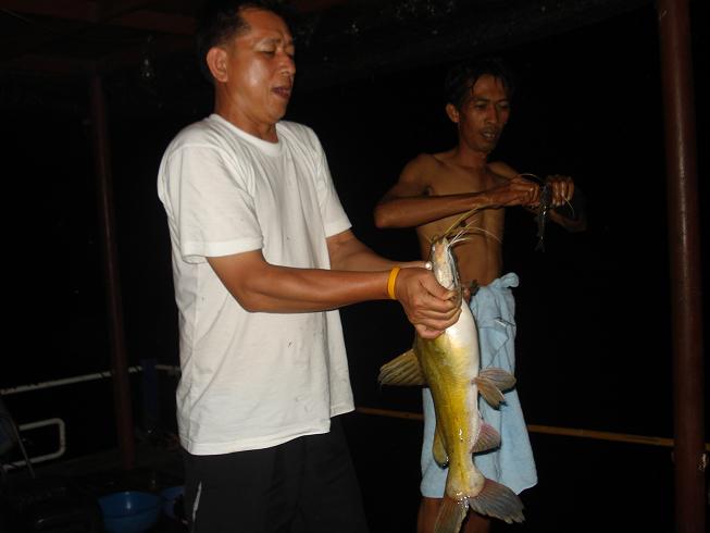 โชว์ขนาดให้เห็นกันจะๆ ครับ :grin: