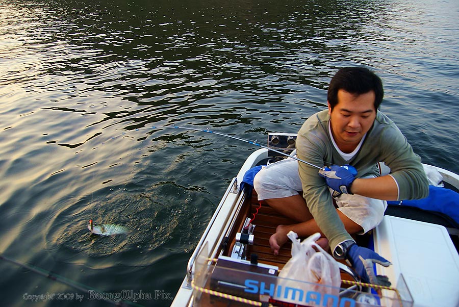 พอได้หลับหูหลับตา....แกล้งมองไม่เห็น