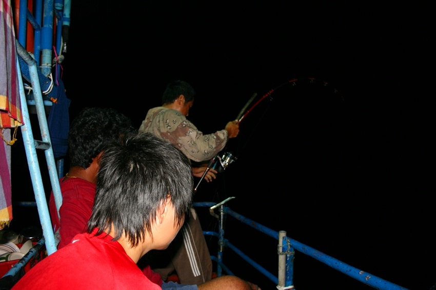   เป็นที่น่าเสียดาย ปลาตัวนี้วิ่งลอดท้องเรือสายบาดท้องเรือขาดไปจนได้ไม่ได้เห็นตัวเลยครับ