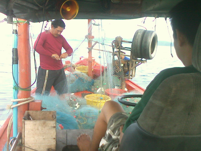 เราได้ปลาทูมา 200 กิโล แต่ไม่ได้ถ่ายภาพรวมมาให้ดูครับ
