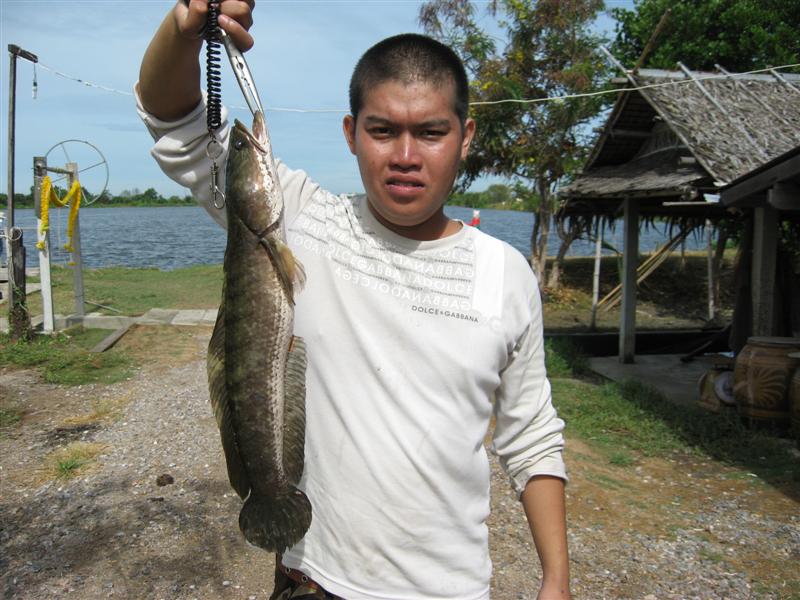 คนต่อไปก้อ เพื่อนน้าโอ ตัวกลมครับ  :cool: :cool: :cool: :cool: :cool: :cool: :cool: :cool:

......