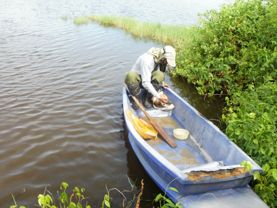 สอบถามชาวบ้านพายเรืออยู่แถวนั้น อ้าว...ไม่ใช่ นี่มัน คะเยอนพ ดาวซัลโวแห่งคันคะเยอ
ผู้รักโคโยตี้ เอ้