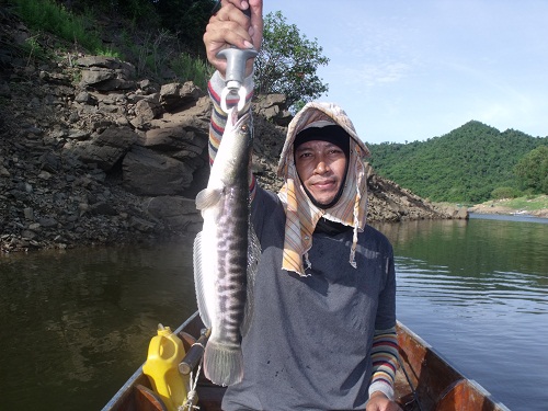 เอ้าโดนอีกครับ