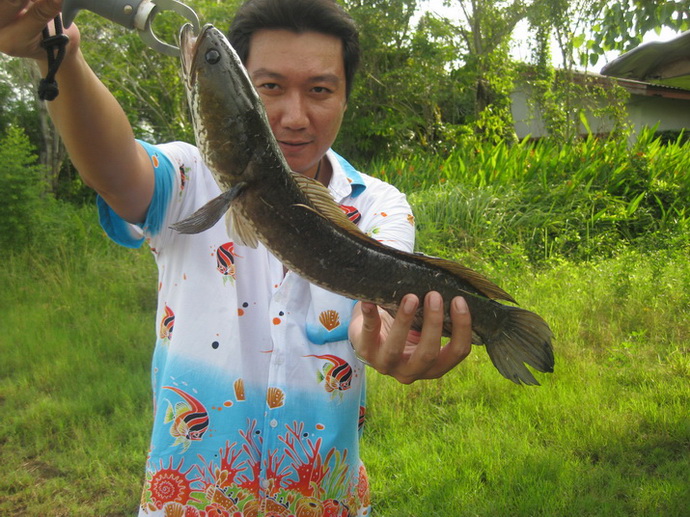  :umh: ช่วงนี้  รอดมันทุกหมาย ...555  :laughing: :laughing: :laughing: