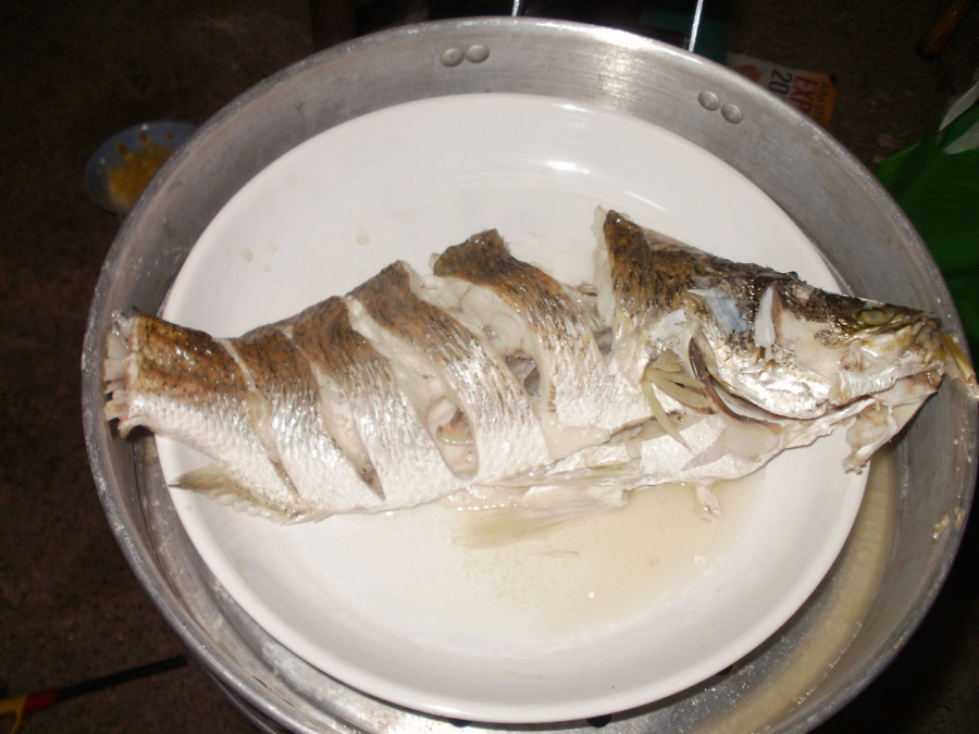 ทำไมหน้าตามันไม่น่ากินเลยฟร่ะ  :spineyes: :spineyes: :spineyes: :spineyes: :spineyes: :spineyes: