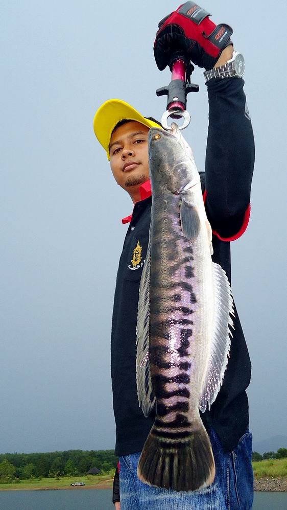
 :cheer: :cheer:........ภาพนี้ตอกย้ำเรืออีกลำนึง..