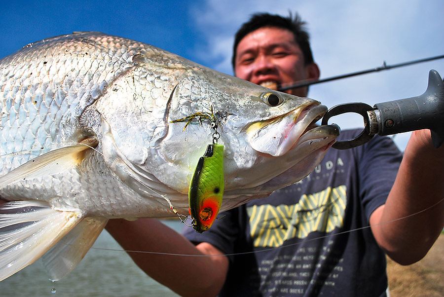 ตะขอตัวท้องหลุดจากปาก  เอ้ารีบถ่าย