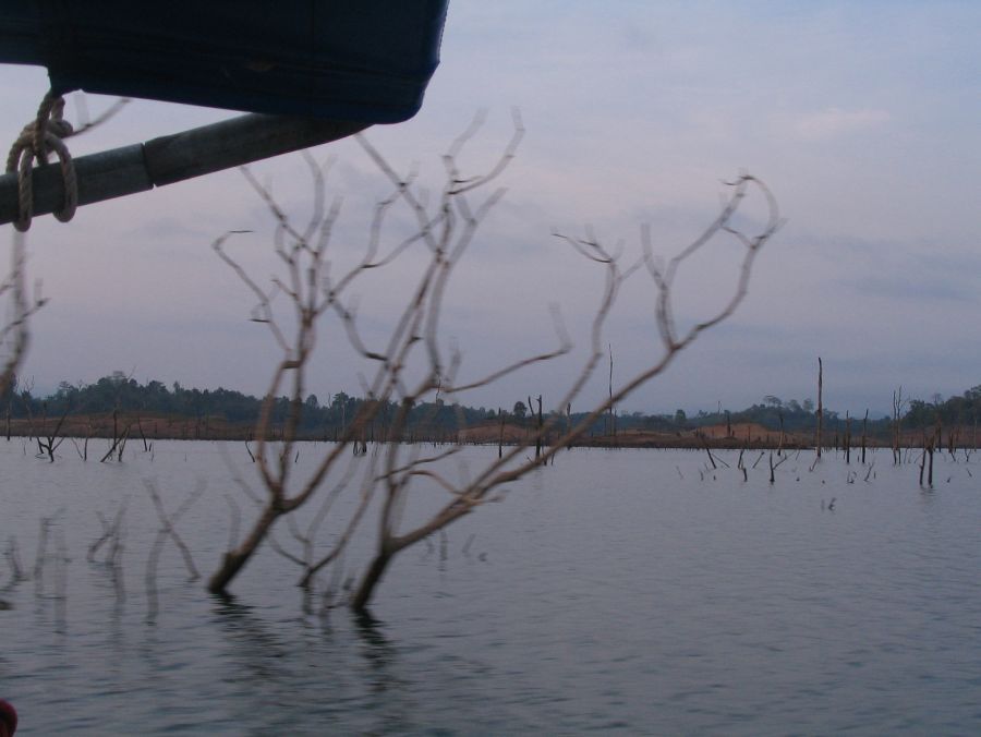 สภาพน้ำลดตอผุด