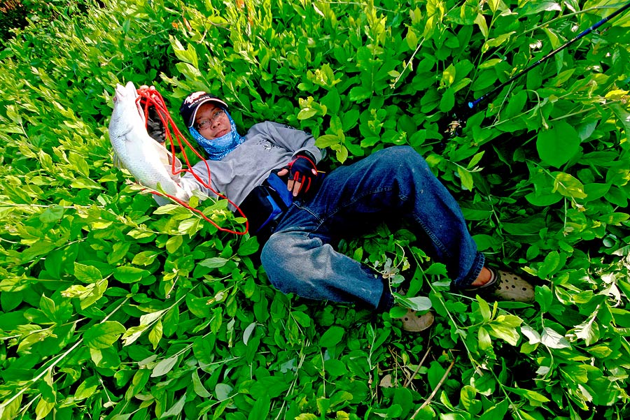  [b]หมายเลข : 100         ชื่อภาพ  " กระพงหลงทาง #2 "[/b]