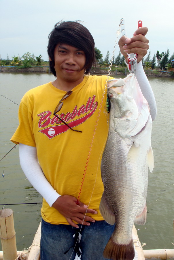 


อ้าว..........เผยโฉมหน้า

ได้แล้ววววววววววว


 :cool: :cool: :cool: :cool: :cool: :cool: 