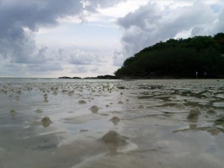 ฝนตกแล้ว หนีฝนดีกว่า ถ่ายรูปเล่นละ กลัวฟ้าผ่ายิ่งไปสาบานไว้เยอะซะด้วย :laughing: