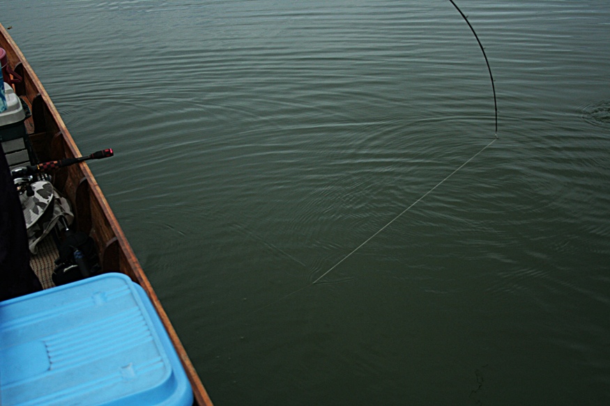 ชอบจังท้องเรือเข้าๆออกๆ :angry: