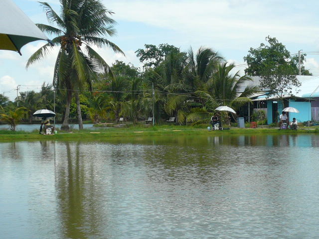 ทิศตะวันตก(หัวบ่อ)