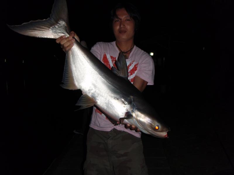 [q][i]อ้างถึง: 888 posted: 01-06-2553, 12:22:44[/i]

  บุคคลที่เ