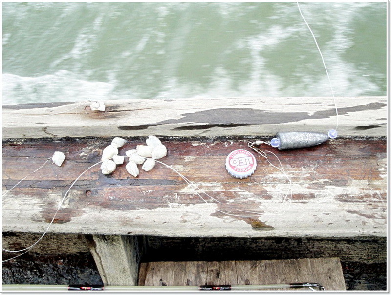หั่นอย่างนี้...เล็กๆ 

. [b]"ท้ายเรือ ขอ..037 อีกขวด เร็วๆ..อย่าให้ขาดสาย เดียวไม่ต่อเนื่อง รมณ์เ