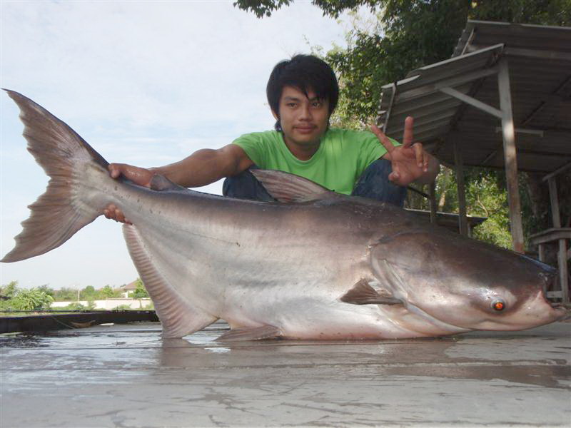 งานนี้มีแต่ฉายา  "  น้องเอ็ม ปลาใหญ่  " :cheer: