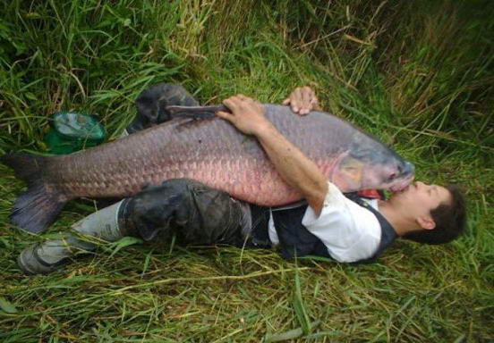 ปล.ฝากรูปนี้ เป็นกำลังใจให น้าเล็ก คับ :love: :love: