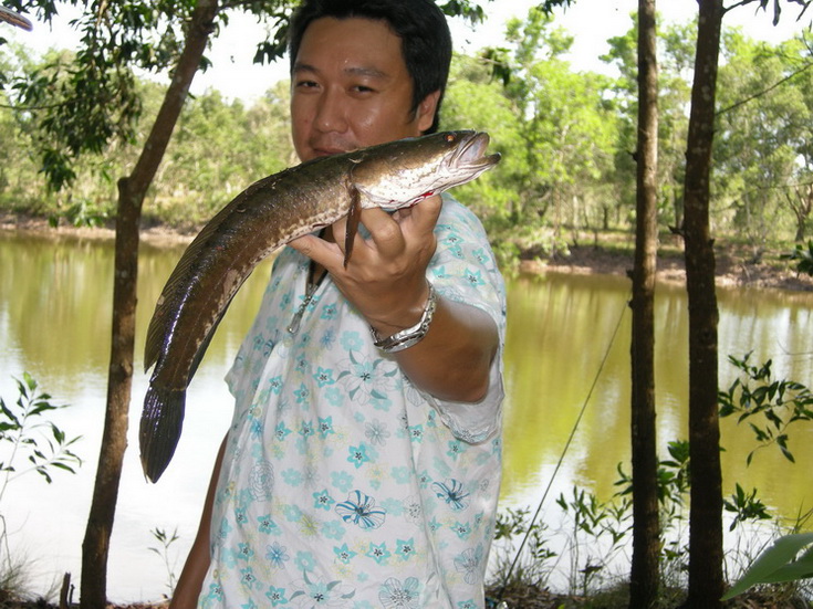 
 :grin: :grin:  พอจะทำให้คนอยู่บนเรือน้ำลาย