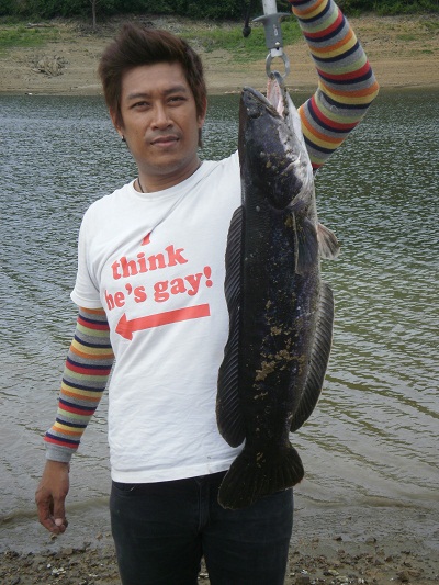 ปิดท้ายด้วยภาพนี้ครับ ขอให้น้าๆทุก