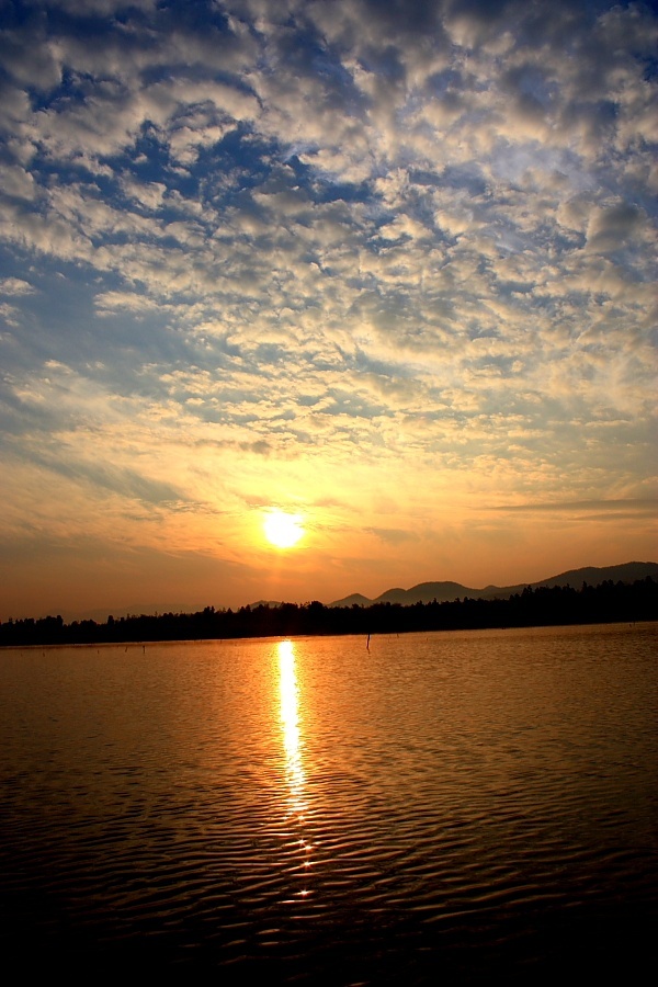  [b]หมายเลข : 132[/b]