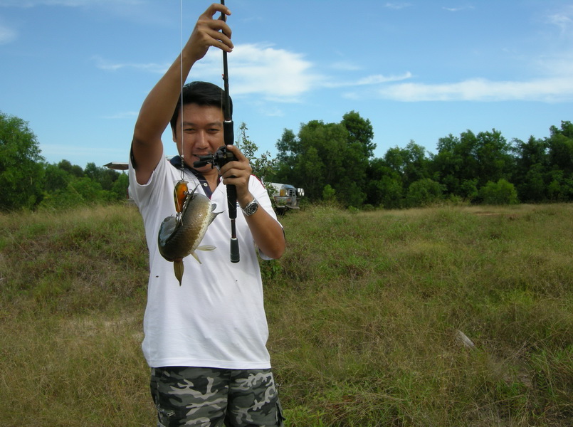 เจ้าfatrap ของผมมันดุจริงๆ กัดหัวกัดหางปลาช่อนเลย.ยย   :grin: :grin: