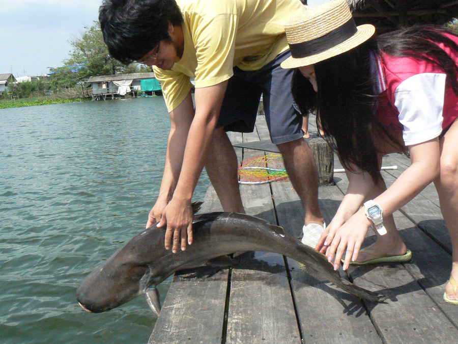แล้วต้องรีบปล่อยครับ ช่วงนี้อากาศร้อนมากๆ  :grin: :grin: :grin: