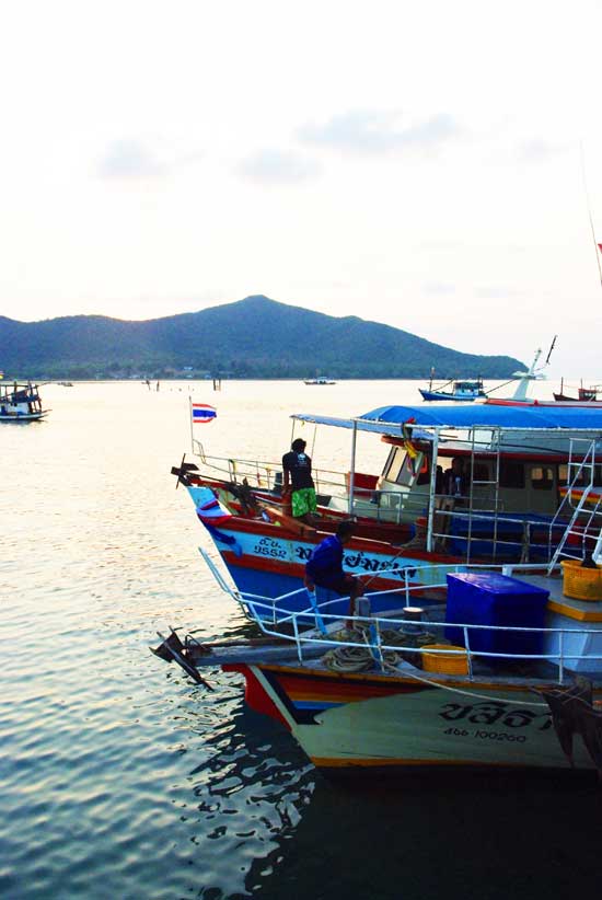 เรือตกปลา และ เรือประมงอวนลากเต็มท่าเรือ เพทาย ที่ บางเสร่
เป็นภาพที่ชินตานักตกปลาที่มาใช้บริการ :s