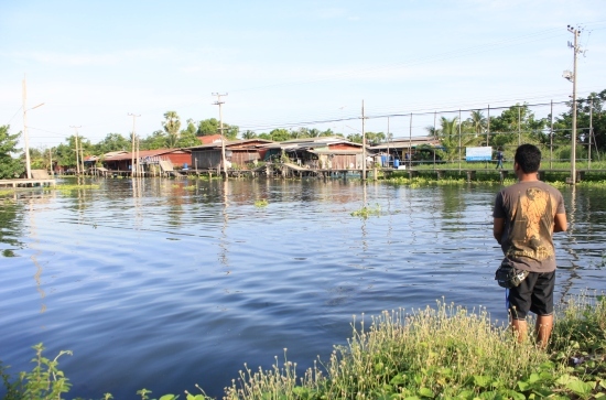 หลังจากเรือผ่านไปแล้ว น้ำกระเพื่อมๆ ส่งเหยื่อตกสวยๆ เดินเหยื่อเนียนๆ เน้นๆ นี่แหละนาทีทอง
 :cool:
