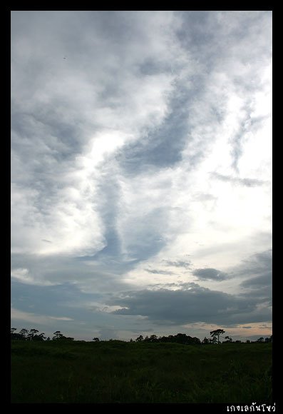แอบหวังเล็ก ๆ หลังฝนตกแบบนี้เราจะไ