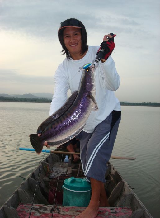 โชว์ตัวกันหน่อย   :grin: :grin: :grin: :grin: :grin: :grin: :grin: :gr