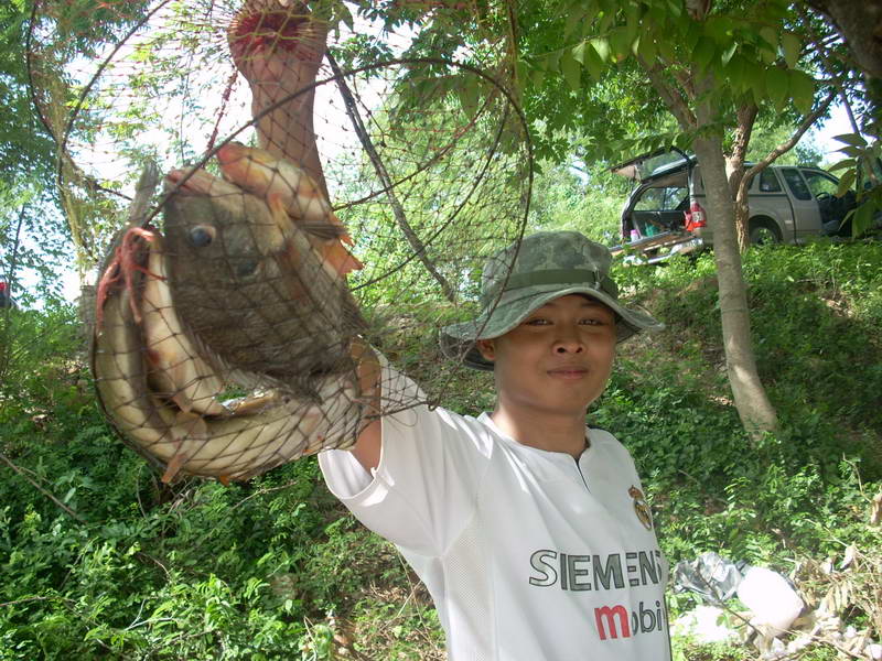 พลสวิง กับปลาที่ตกได้โดยฝ่ายสนับสนุนป4-5 คนได้ปลาประมาณ 6-7 ตัว 3 โลได้