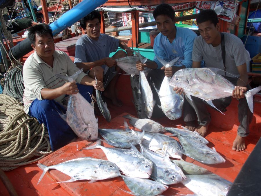 ภาพปิดทริป กับฝูงปลาโฉมตัวสวย กับเรือส.รพีภัสร์รับประกันความมัน 555 

น้าๆท่านใดสนใจมาตกปลาทางทะเล