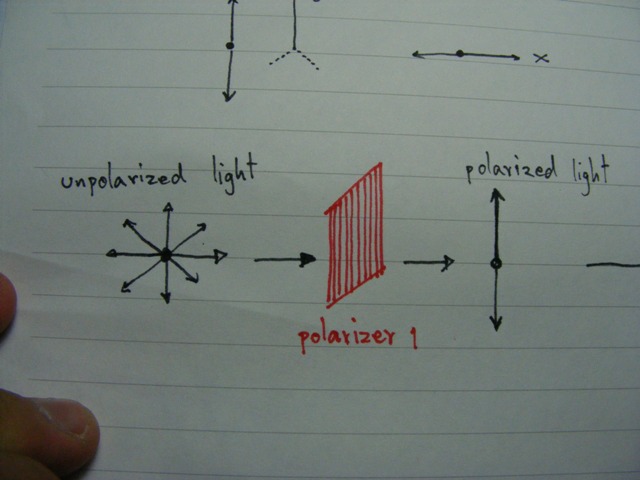 เมื่อแสงผ่านแผ่น polarize หนึ่งแผ่น  เลนส์ polarize จะเป็น เลนส์ที่มีช่อง ละเอียดๆๆๆ  วางตัวอยู่ ตาม