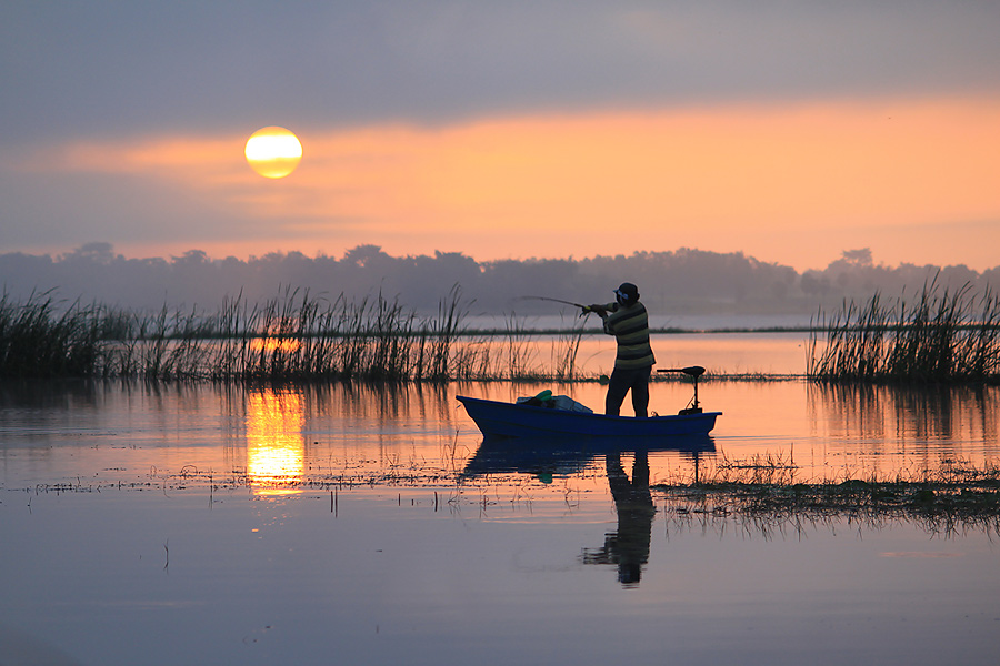  [b]หมายเลข : 153        ชื่อภาพ  " Morning "[/b]