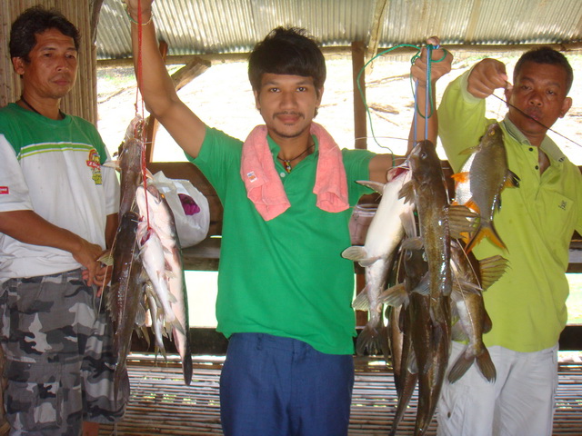 เราต้องใช้ตั้ง 3 พลัง ถึงจะได้มาเท่านี้ :cheer: :cheer: :cheer: