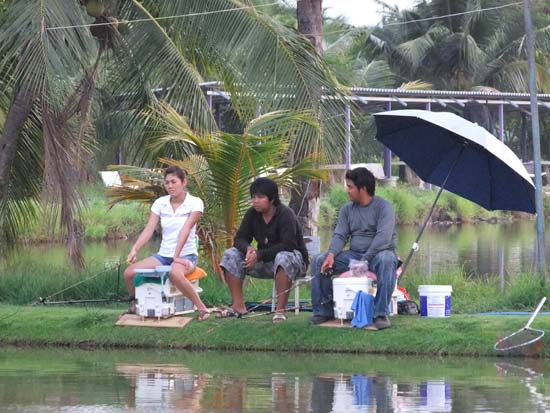 หัวบ่อก็เริ่มมานั่งชุมนุมกานล่ะคร
