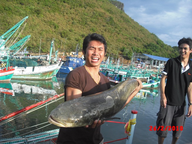 เรือเทียบท่าก็ต้องนั่งรอบนเรืออีก เพราะฝนตกหนักมาก เลยไม่ได้ถ่ายปลารวมบนเรือ ถ่ายบนท่าเรือก็ได้ :che